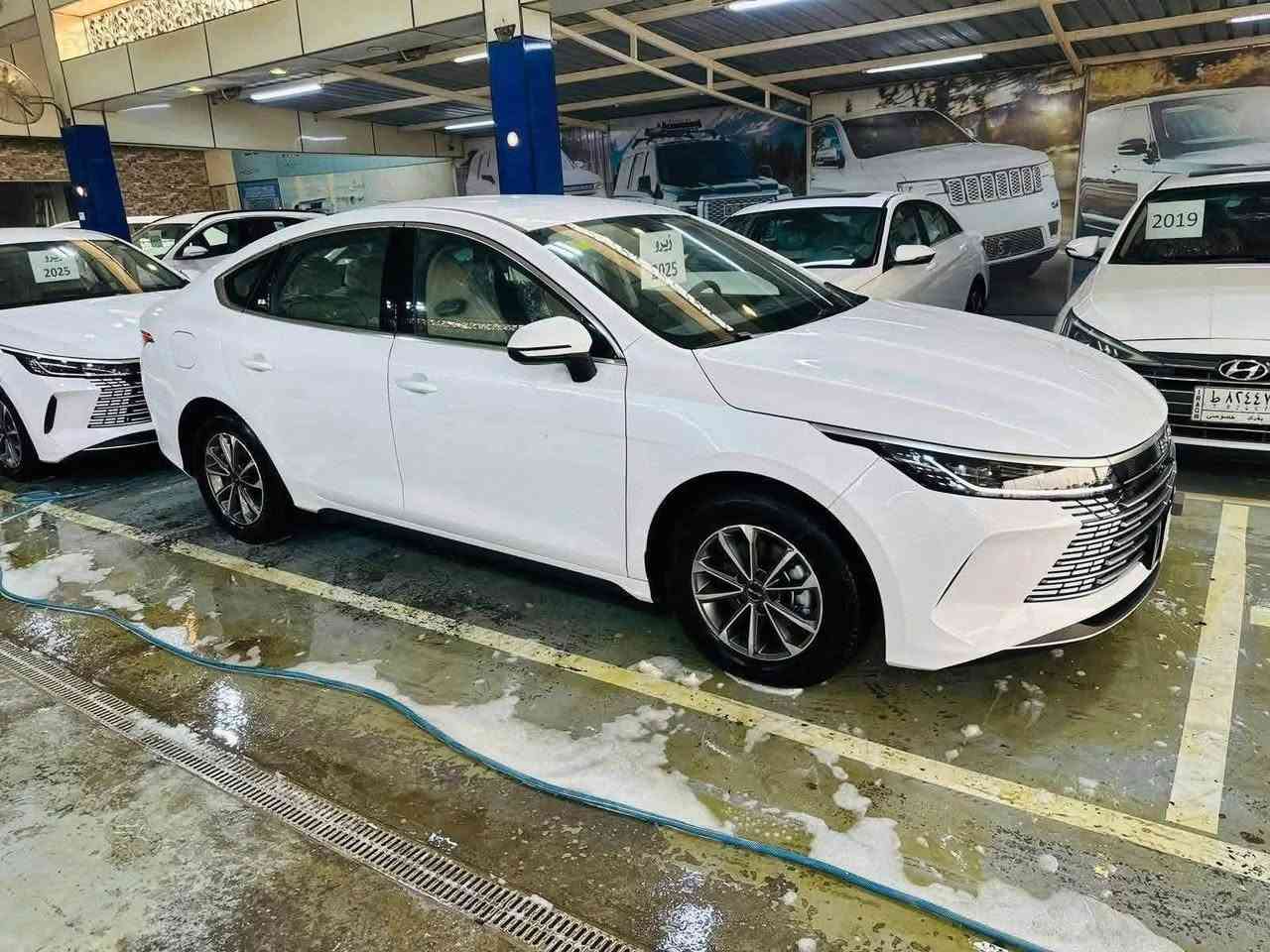 BYD 2025  دستروير السعر 128$  رقم بابل

👨‍❤️‍👨👨‍❤️‍👨 معرض قلعة اربيل لتجارة السيارات الحديثه 👨‍❤️‍👨👨‍❤️‍👨

                    العنوان بابل المعارض

https://www.tiktok.com/@eyhib2?_r=1&_t=ZS-97ELicptHhk
 
 BYD  فول مواصفات.  : ::  السعر 128$

المواصفات 
☘️مرقم بابل تحويل مباشر
☘️
☘️موديل 2025
☘️حساسات خلفيه
☘️هايبرد شحن بانزين
☘️شاشه اصليه + دواره
☘️كامره خلفيه
☘️هند بريك كهرباء
☘️اوتو هولد
☘️مفتاح التشغيل بصمه
☘️تحكمات مقود
☘️مقول جلد حياكه 
☘️دخول ذكي
☘️اشاير بل مري
☘️المقاعد جلد رياضي
☘️ اناره داخليه LED
☘️ لد امامي LED
☘️بك لايت LED
☘️قطعتين تبريد
☘️كروس سرعة
☘️حجم الاطار 16
☘️مانع تزحلق
 

 السيارة مكفوله كفاله عامه ‼️

🅿️🅿️للاستفساراكثر اتصل على الأرقام التالية 👍

📲📲📲📲📲📲📲📲📲📲📲📲📲📲📲📲📲

***********   ايهاب الطائي 

‭***********‬ حيدر الخفاجي 

***********. سهاب الطائي 

https://www.facebook.com/groups/751367581619728/?ref=share_group_link

📍📍📍📍📍📍📍📍📍📍📍📍📍📍📍📍📍

العنوان... بابل... طريق حله نجف معرض قلعة اربيل لتجارة السياراة الحديثه 

💯💯💯💯💯💯💯💯💯💯💯💯💯💯💯💯💯

💙نحرص على كل مانقدمة لزبائننا من تميز و جودة تليق بكم القادم أرقى واجمل قم بزيارتنا ولا تندم💙
👨‍❤️‍👨👨‍❤️‍👨 معرض قلعة اربيل لتجارة السيارات الحديثه 👨‍❤️‍👨👨‍❤️‍👨
