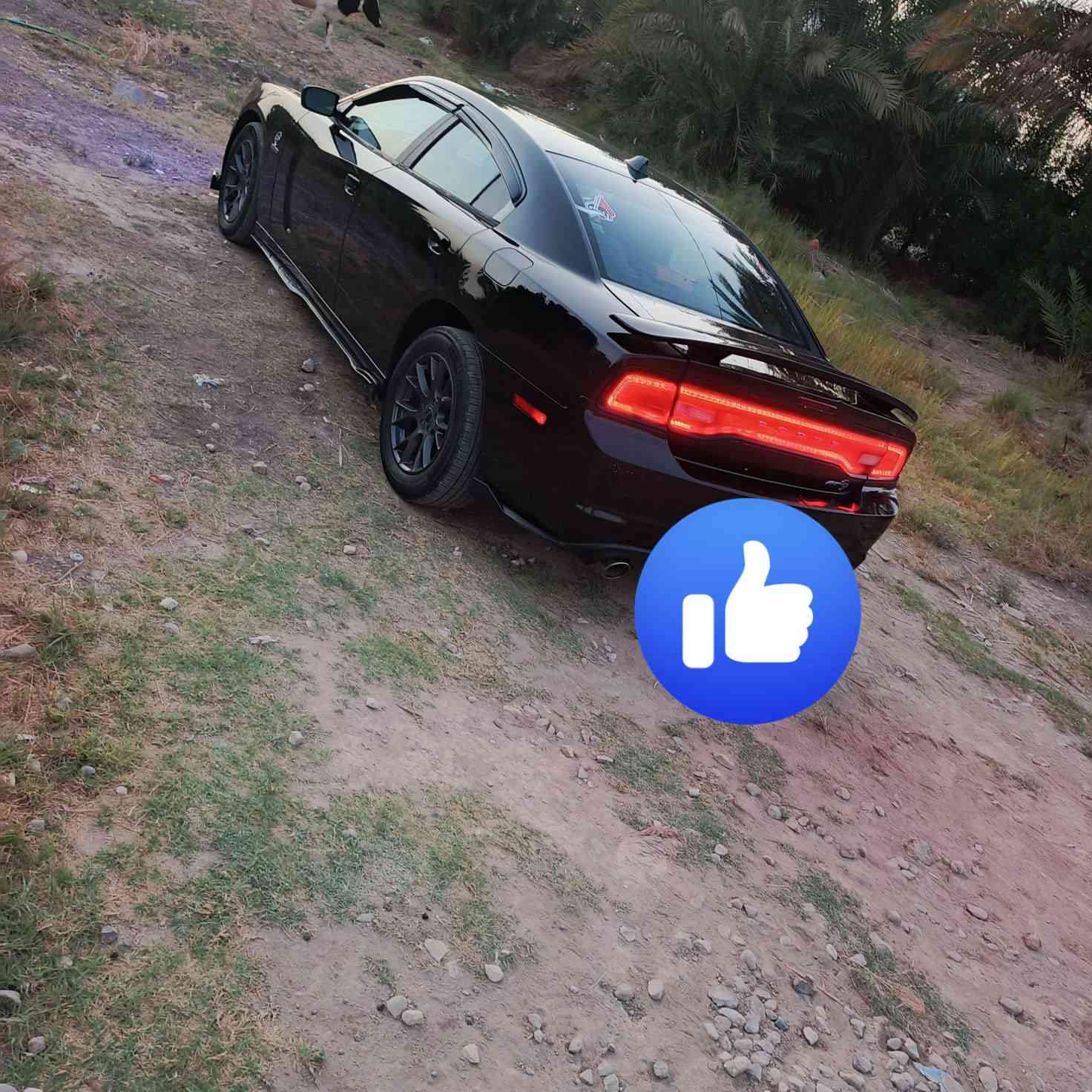 السياره بيع فقط 

جارجر 2014 
 حجم المحرك سته سلندر 3600
السياره فول ما عدا الفتحه 
تحكمات ستيرن
كير طياره 8 نمر
شفتات
شاشا كبره
كشنات حضن
كشنات تدفئه
غرفه صوتيه
دمام خلفي بلادي
دعاميات srt
لايتات زنون 
السياره مال جناي  سياره بيه قطعتين كلير بمركيا بل العراق بيه قطعتين بدون دواخل 
لا شواصي ولا لغود ولا كص كلهن مابيهن اي ضربه
مكاني بابل طريق سريع  نتصال ع رقم ***********.  ‏‪***********‬‏
