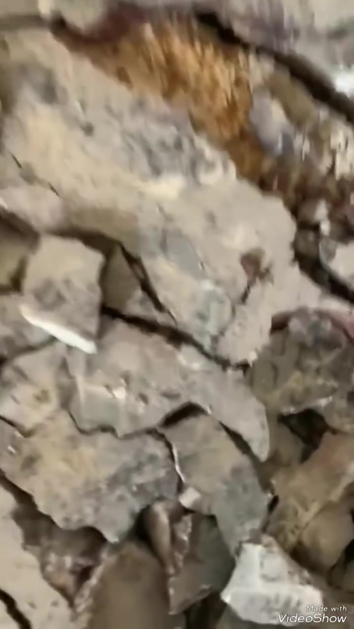 💎 يوفر لكم مكتب معالجه حشره الارضه في بغداد والمحافظات  الحلول المتكامله للقضاء على حشره الارضه حيث يتم تشخيصها وكشف مستعمراتها وحجم الاصابه من خلال 
💎 اشراف كادر متخصص وخبره اكثر من 15 سنه 
💎 نعمل باحدث الطرق والاساليب الامنه نعمل بمبيدات فايروسيه عاليه الجوده صحه عامه على الانسان
💎 جميع اعمالنا بضمان 
💎 تعمل كوادرنا  في جميع محافظات العراق وعلى 
مدار 24 ساعه 
مستعدين لمكافحةكافه البنايات السكنيه والمحلات التجاريه والدوائر الحكوميه والفنادق _________________________________
للاستفسار اكثر مراسله الصفحه او الاتصال على 
              ***********
