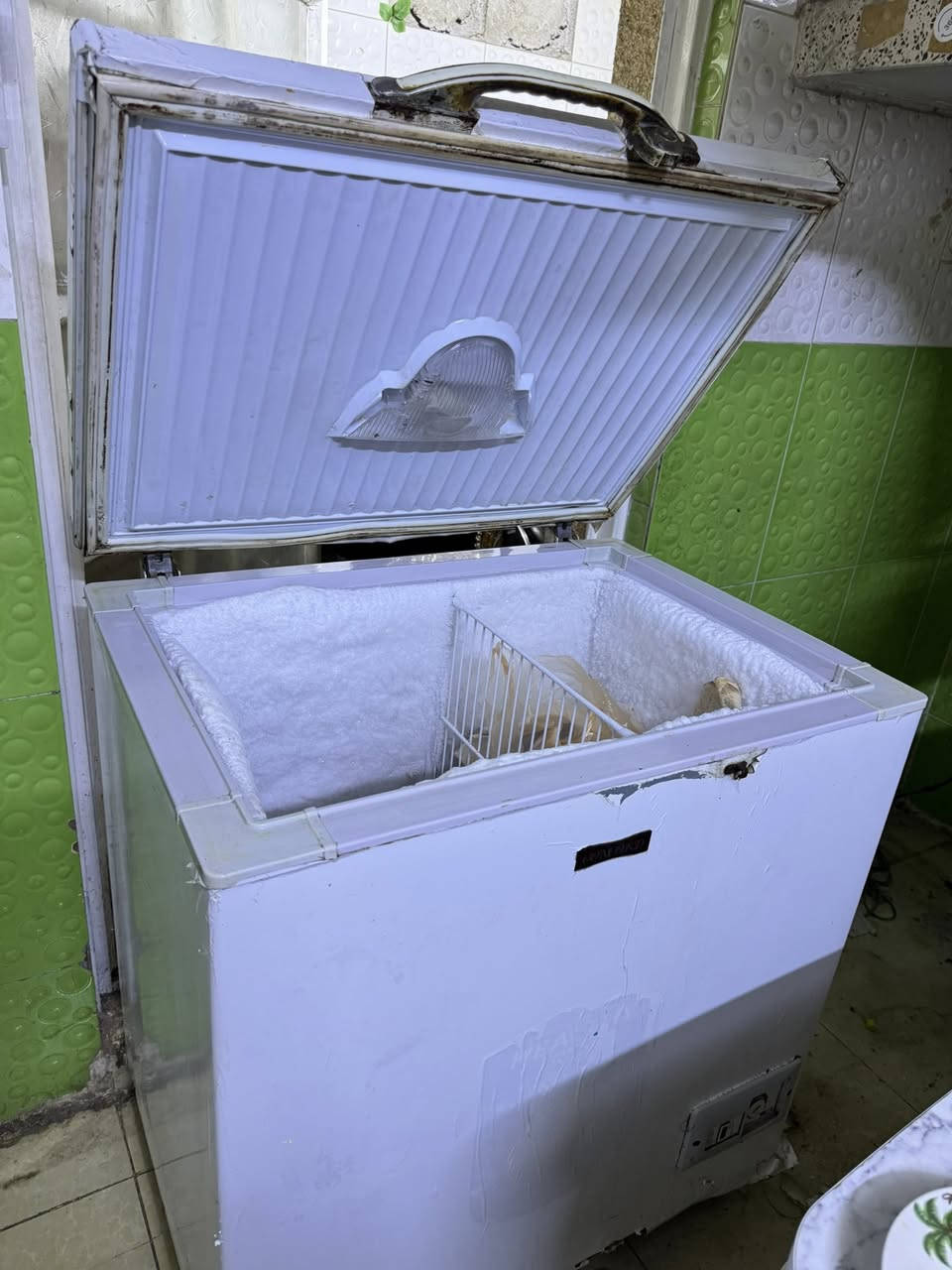 مجمده كونكور الاصليه 11 قدم للبيع
مداخله تصليح ابد 
مكاني الحرية


**إذا كنت صاحب هذا الإعلان وتريد حذفه لأي سبب، رجاءا أرسل رسالة إلى الدعم الفني**