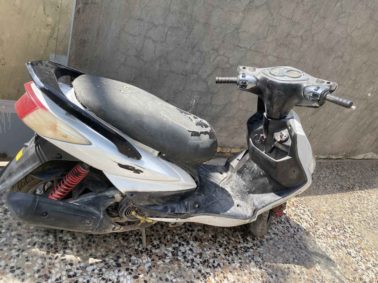 سلام عليكم سكنس فحل للبيع شلعه ومعدل كهربائيات شغالة كلشي بيها شغال صار شهر مداير دهن والبارحه لطشت المكينه ابيع ؏ وضعها 300وبيها مجال مكاني بغداد ابو غريب ***********
