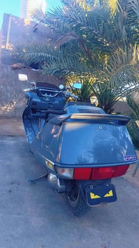 فيوجن • مكفوله • بدون ضربه