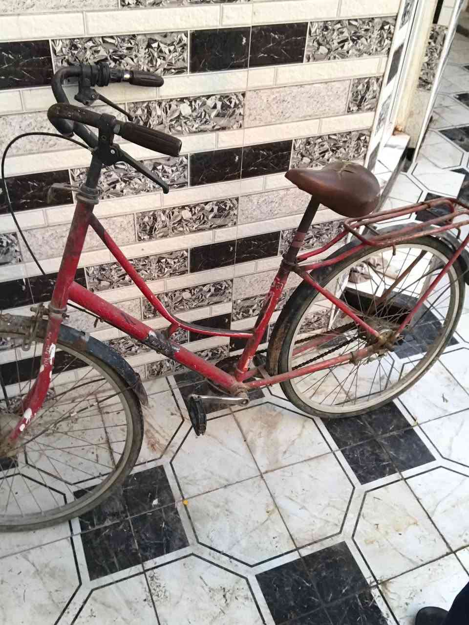 بايسكل حجم 26 سعر 25 فقط مستعجل


**إذا كنت صاحب هذا الإعلان وتريد حذفه لأي سبب، رجاءا أرسل رسالة إلى الدعم الفني**