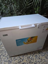 مجمدة • عايزة موتور • فيها مجال