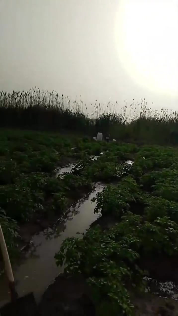 سلام عليكم أرض زراعيه للبيع طابو زراعي سند 25 كافه الخدمات متوفره  تحويل مباشر موقعه اليوسفيه تبعد عن الشارع العام 100متر  مساحته دونمين وربع وموجود ٣٠ دونم الاستفسار اتصل ***********
