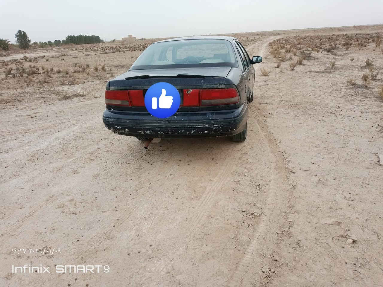 السلام عليكم 
#للبيع
دايو برنس 94 رقم نجف نگليزي جديد السنويه جديده بأسمي باتري جديد تخم تاير جديد كهربائيات شغاله مكينه تبخر والكير البك يصفن السعر 18ورقه 
المكان الديوانية الحمزه الشرقي 
للاستفسار اكثر الاتصال ع رقم 
***********واتساب
