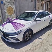 النترا ٢٠٢٤ • كفالة ٢٤ • رقم اربيل