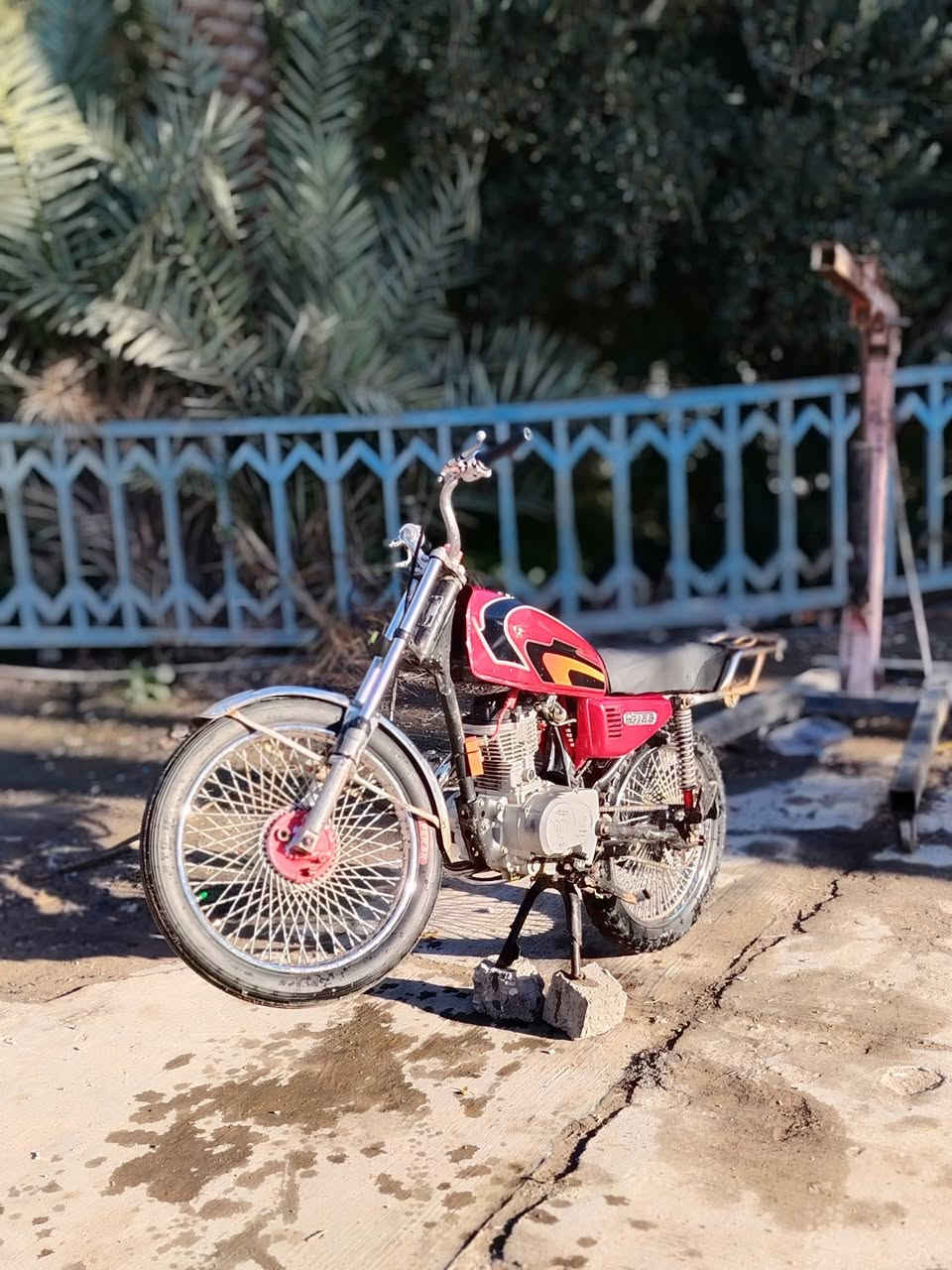 مراوس حسب القناعه تايكر مديل 20 كفاله مكاني بغداد ناحيه الوحده قرب  بمسايه ***********
