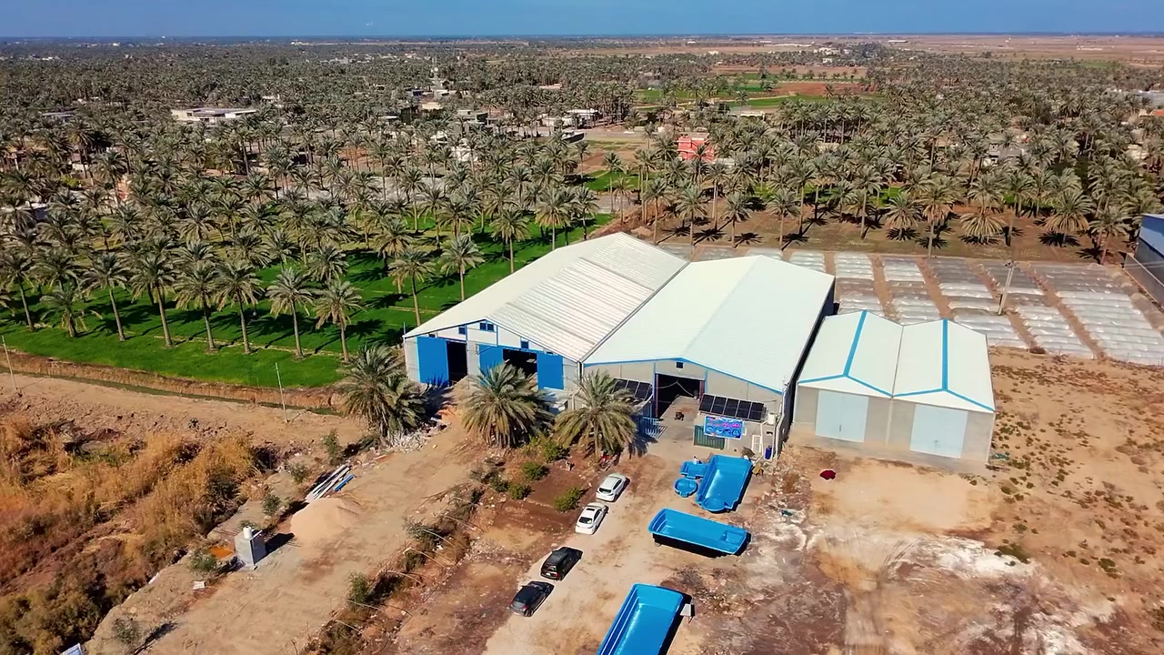 💦✨ مسبحك جاهز خلال يوم واحد فقط! ✨💦
هل تبحث عن مسبح أنيق، جاهز، ومتين؟ 🏊‍♂️
📌 معمل بابل يوفر لك مجموعة فاخرة من مسابح الفايبر كلاس، بتصاميم عصرية وجودة عالية، تناسب كل المساحات والأذواق!
⁨0789 099 8833⁩ واتساب
✅ مقاومة ممتازة للعوامل الجوية
✅ تركيب سريع في وقت قياسي
✅ تصاميم أنيقة تناسب الحدائق والمنازل
✅ خدمة ما بعد البيع وضمان طويل الأمد
✅ تجهيز فوري لتلبية راحتك بأسرع وقت

من المسابح العائلية الصغيرة 🛁 إلى التصاميم الفاخرة 💎، كل شيء جاهز ليضيف لمسة من الفخامة والاسترخاء إلى بيتك 🏡
📸 تصفح الصور واستلهم تصميم مسبحك المثالي الآن!

🎯 لا تفوّت الفرصة... الرفاهية تبدأ من هنا!

📞 للحجز أو الاستفسار، راسلنا عبر الصفحة أو تواصل معنا مباشرة عبر الأرقام التالية: 
📱 ***********
📱 *********** – واتساب
📱 ⁨0789 099 8833⁩ واتساب 

📍 الموقع: بابل – الطريق سريع حلم كيش مقابل معمل مياه الصحه– 

🌊 معمل بابل... نغمر بيتك بالجمال والفخامة! 🌟
📩 تواصل معنا الآن عبر الزر أدناه أو الأرقام أعلاه، وخلي مسبح أحلامك يصير حقيقة!
