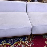 تخم قنفتين نضيفات مابيهن ضرر السعر 125 مكان بغداد الشعب 07711904308