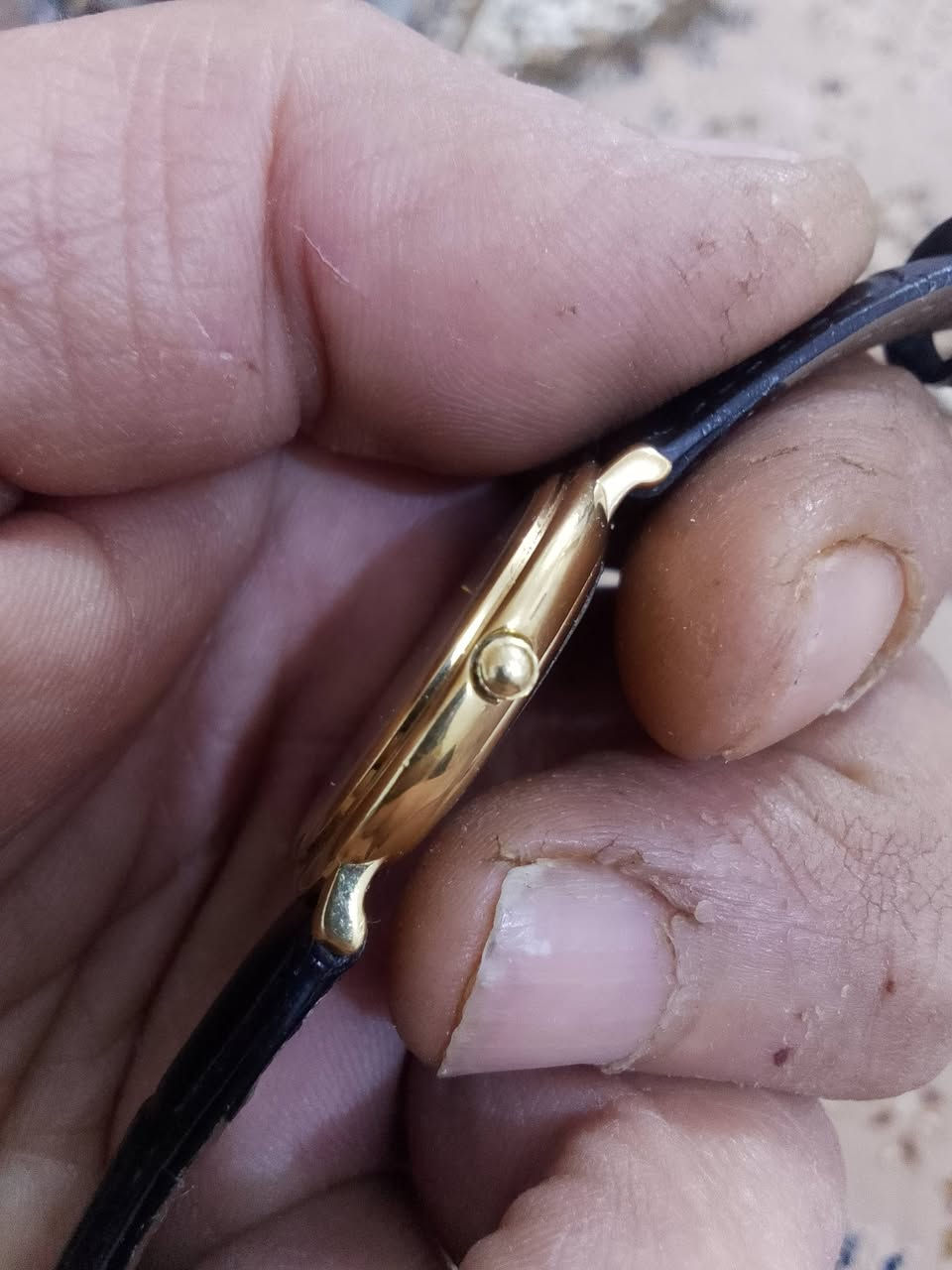 أللهم صل على محمد وال محمد الطيبين الطاهرين
رايموند ويل كوارتز مخزن بل استيكر قطر 31 تغليف ذهب بل كامل 10مايكرون سعر 85 دولار


**إذا كنت صاحب هذا الإعلان وتريد حذفه لأي سبب، رجاءا أرسل رسالة إلى الدعم الفني**