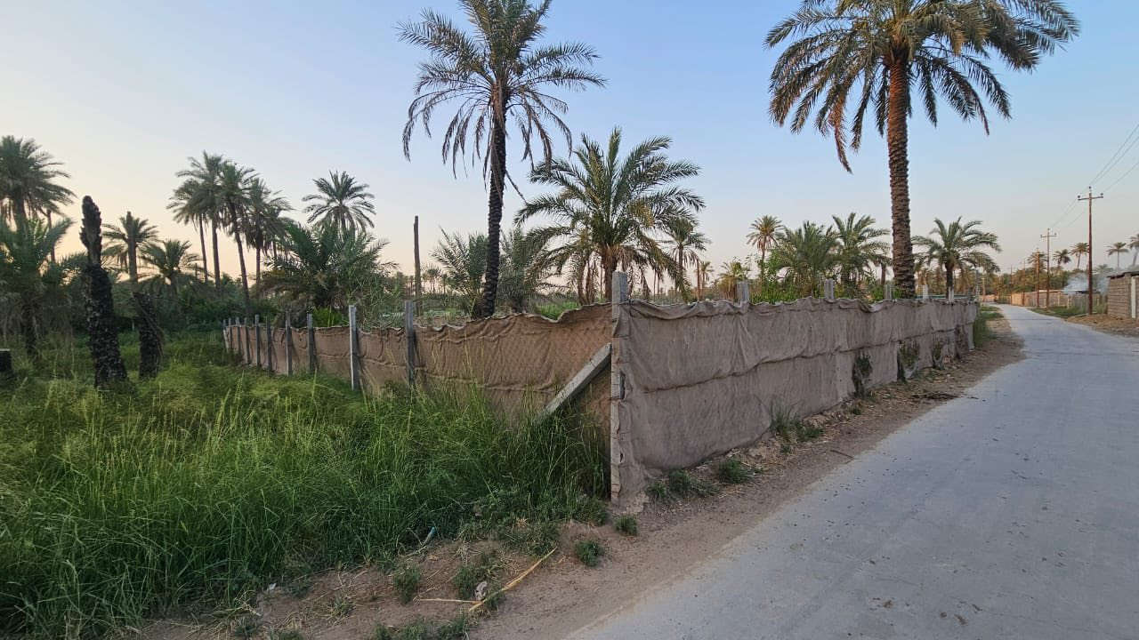 قطعه ارض مزروعه طابو زراعي مساحة 600 متر واجه 27 بساتين بهرز قرب ابو علون على الشارع العام خدمات شارع صب وكامله للستفسار ***********
