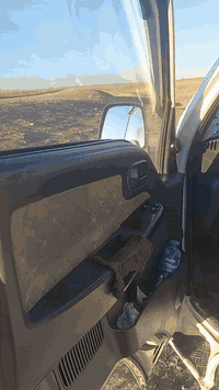 فحل رقم بغداد مشروع وطني 
شرط تحويل ..سنويه 2027
بيها باب السكن مبدل بلادي 
شرط شاصي وكير 
المحرك بي بداية تبخير 
السعر 138$ بيها مجال بسيط
للتواصل ***********
            ***********
