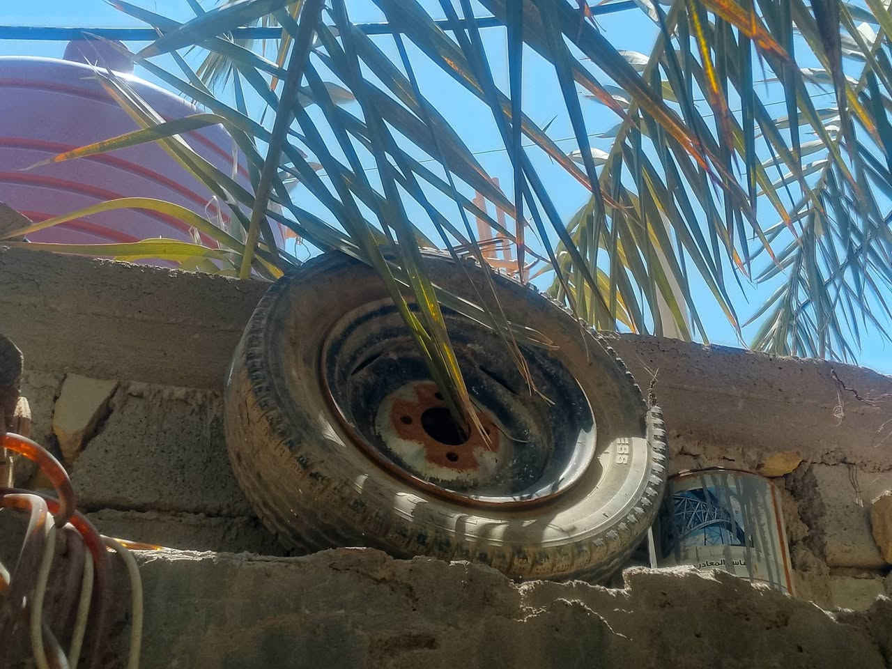 سلام عليكم عدي رنك 13و12البيع


**إذا كنت صاحب هذا الإعلان وتريد حذفه لأي سبب، رجاءا أرسل رسالة إلى الدعم الفني**
