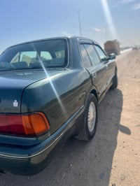 أرنب ١٩٩٤طويل مصبوغ اثرجراد دشبول يسره بلاد مكفول من الكص ونقل الجثه و...