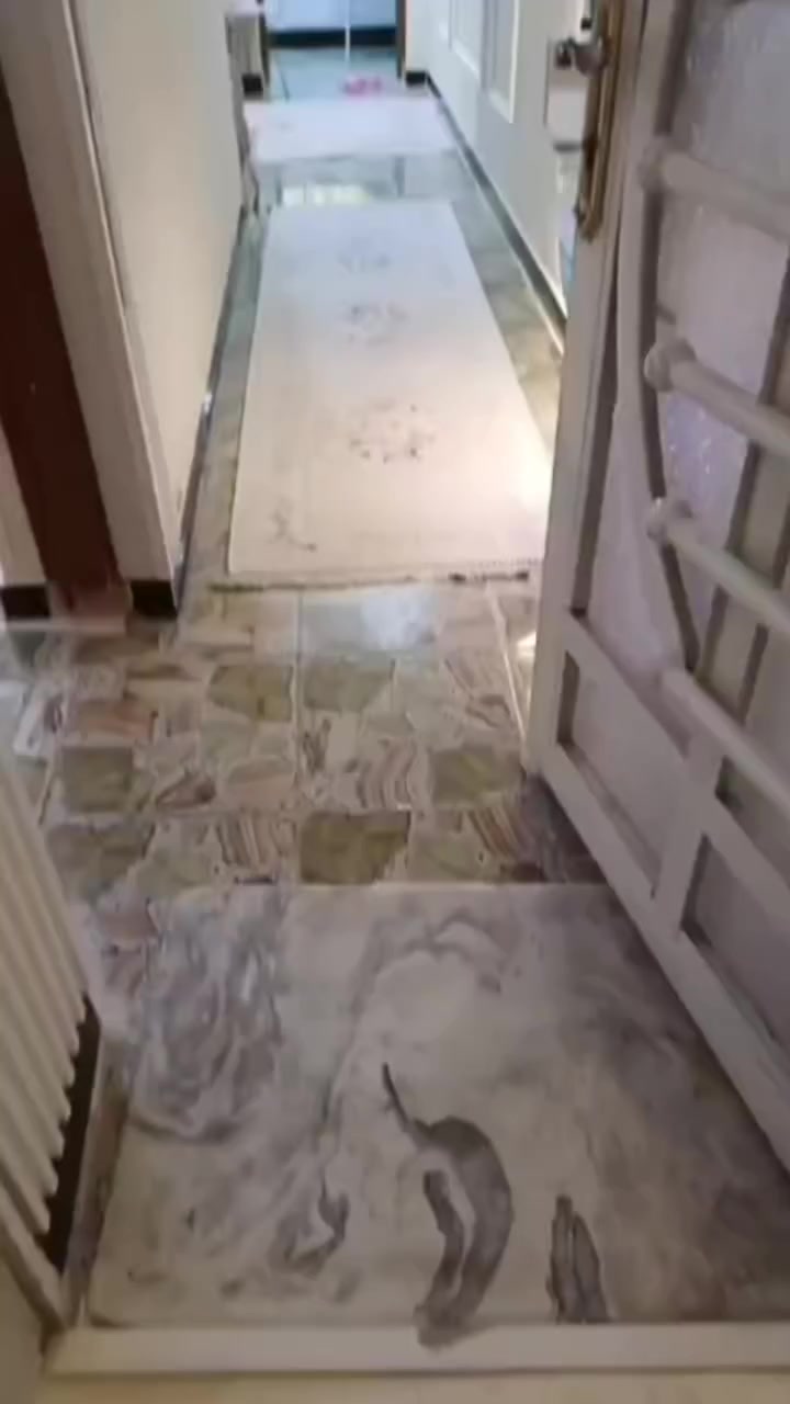 مساحه 50 م حي النداء منطقه ال 47 طابقين  استقبال صاله مطبخ
 الطابق الثاني غرفتين نوم درجه اولى 

للاستفسار اتصال
***********
للتواصل عبر الواتساب او مراسله الصفحه
