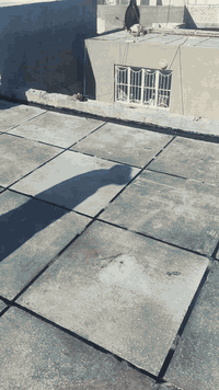 تصليح كافة الصطوح عمل ماستك
وزفت وتطبيك اشتايكر التواصل وات ساب
***********
***********
