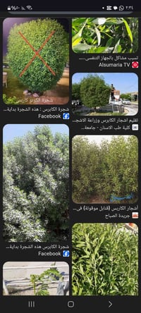 عليك بس تصلل واني اجيك ٠٧٨٢٢٧٣٠٠٤٢ الكص الشجار