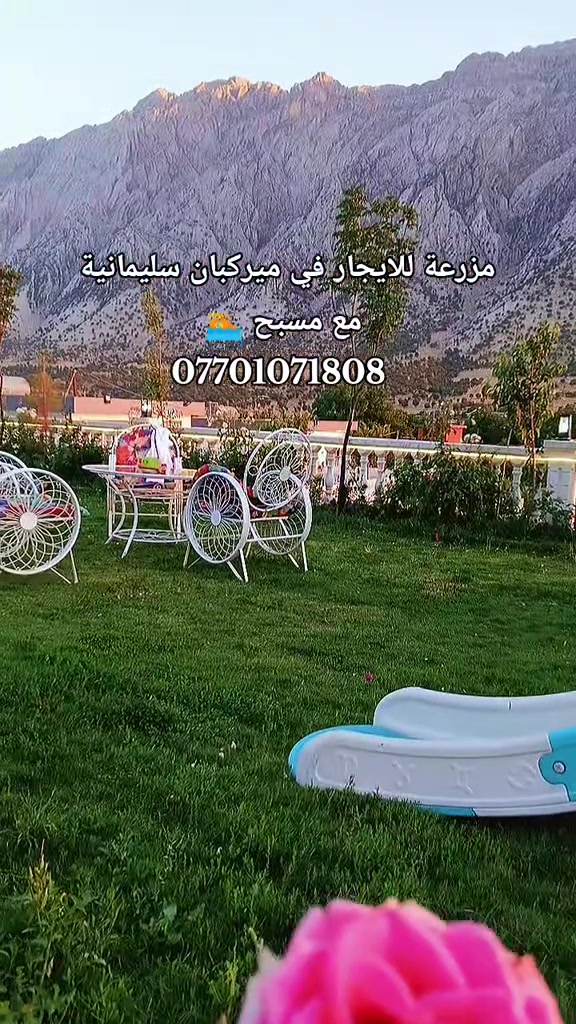 مزارع سليمانية *********** #ميركبان_سليمانية_ايجارات_مزارع #مزارع_ميركبان #جزيرة_الخيول #ميركبان_سليمانية_ايجارات_مزارع #مزارع_بلد 
