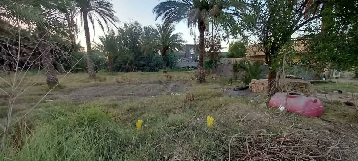 دونم طابو زراعي سند ٢٥ بين المشروع والحصوه قريب شارع العام كافة الخدمات متوفره مع بيت بناء قديم مع مضيف معزول للبيع السعر ١٥٠ وبيه مجال بسيط


**إذا كنت صاحب هذا الإعلان وتريد حذفه لأي سبب، رجاءا أرسل رسالة إلى الدعم الفني**