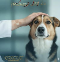 داء الكلب • تطعيم داء الكلاب • ابوغریب الزيتون