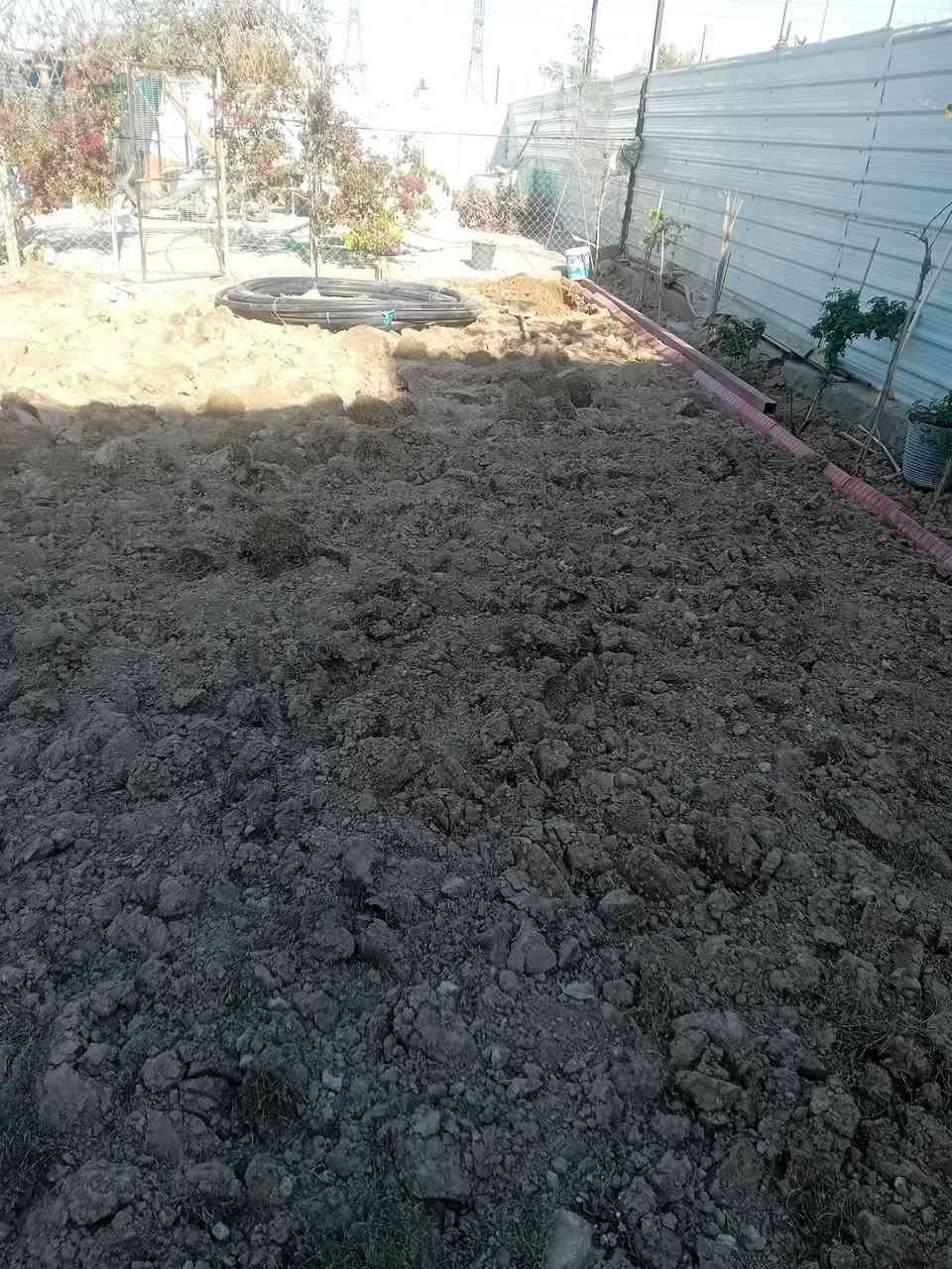 علي الفلاح ***********
