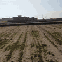 جلولاء ديالى • طابو زراعي سند ٢٥ • أكثر من ٨٠ قطعة