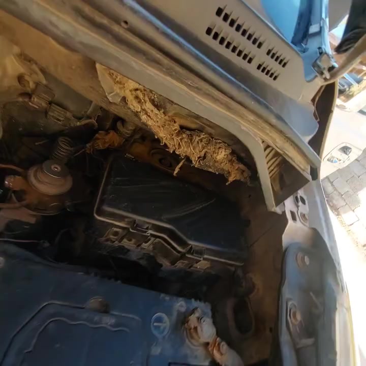 سلام عليكم ستاركس مسكر موديل 8رقم نجف نكليزي ومكان سياره بغداد سياره بيه لقطعتين سياره تبريد خير من الله  وسعر 118وبيه مجال ***********
