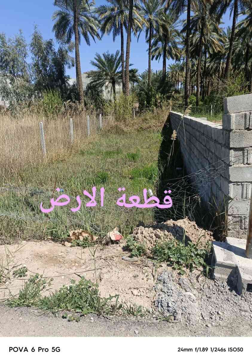 قطعة ارض 100 متر سند25خلف كامل الخدمات وبسعر مناسب اتصال بالهاتف ***********
