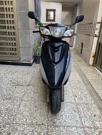 بريز ببغاء مكفوله كفاله عامه سعره 900 مكان بغداد 07707348161