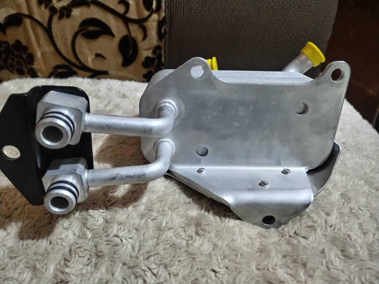 براد دهن فورد رينجر


**إذا كنت صاحب هذا الإعلان وتريد حذفه لأي سبب، رجاءا أرسل رسالة إلى الدعم الفني**