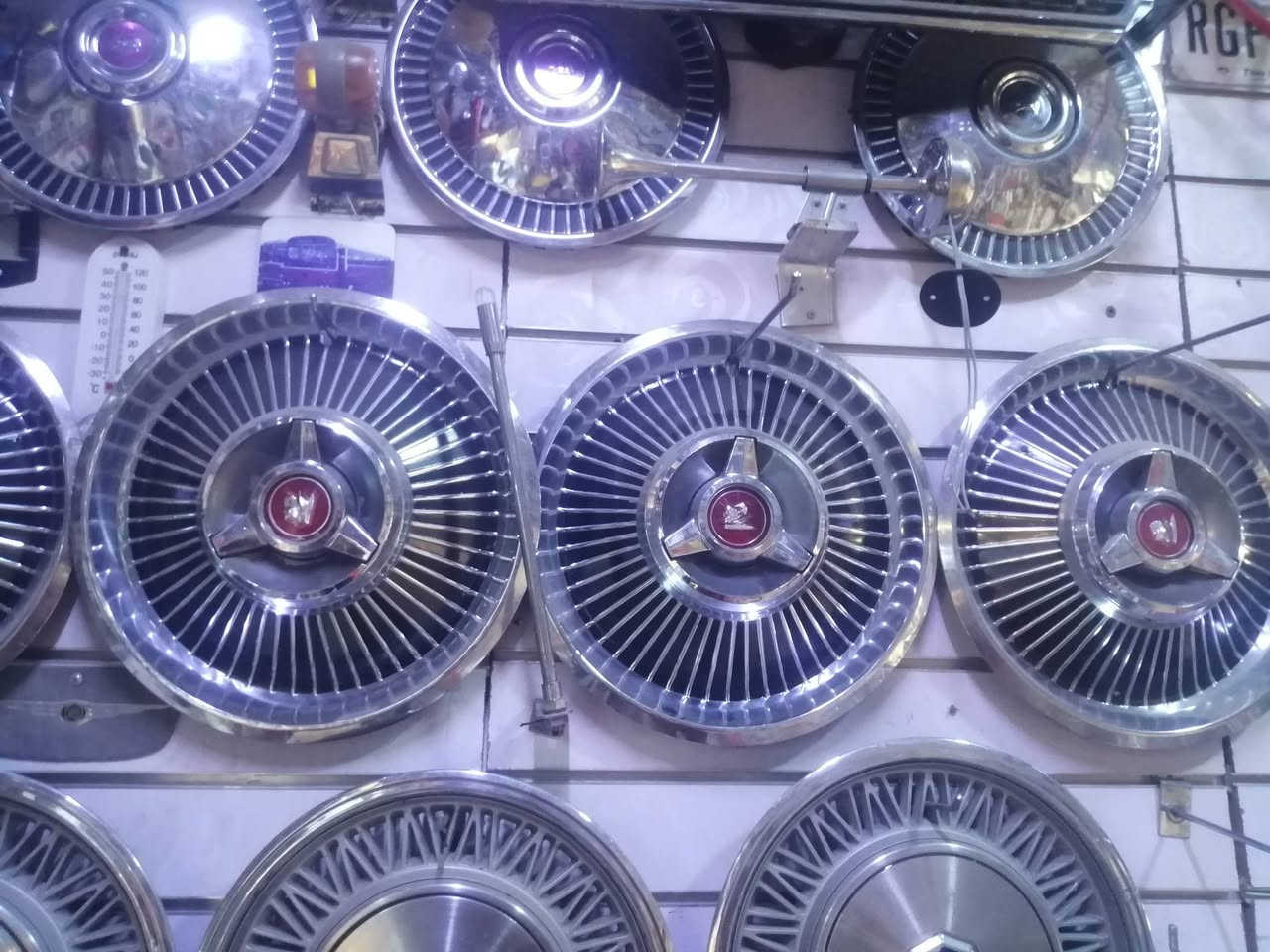 السلام عليكم شباب تحيه طيبه للجميع تخم كبات ماي كوري للبيع عنوان البصره شارع ١٤تموز هاتف *********** //***********
