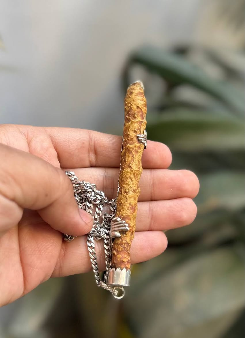 السلام علكيم / عرك سواحل نباتي 
طاقات عاليه سواحل
يوجد توصيل لجميع المحافضات
***********
