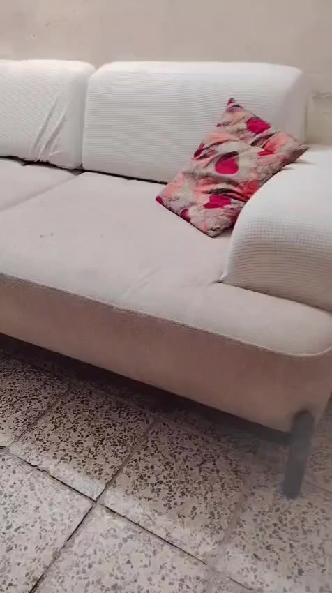 تخم ديوان للبيع


**إذا كنت صاحب هذا الإعلان وتريد حذفه لأي سبب، رجاءا أرسل رسالة إلى الدعم الفني**