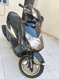 سكنس فحل • نوزل طلاعات • ختم واحد