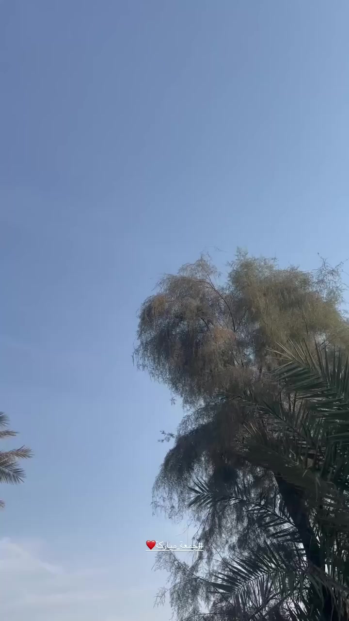 السلام عليكم
للبيع او المراوس ٦ بطاريات ملف 2000 تشغيل كارت وسويج وبصمة +منفذUSB+نظام R+الشحنة الوحدة تمشي ٦٠ كيلو تقريباً متواصل+دبل اشارة+(لايت سكن +عالي+ ناصي)

باقي التفاصيل الاستفسار واتس

***********
