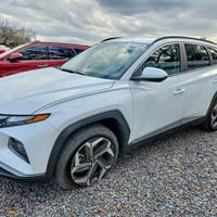 توكسان • ٢٠٢٤ • مزاد