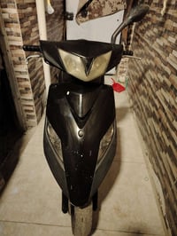 ثعلب • شغالة • الكاضمية