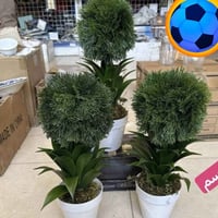 قياس كبير • قياس صغير • مستلزمات منزلية • ديكورات منزلية • زينة منزل