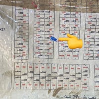 الدبيه الاوله • ٢٤٠م • شارع ١٠م