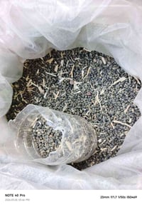 يوجد لدينا بذور باميه للبيع للستفسار انتصل ع صاحب   الرقم ‏‪0788677587...