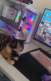 رايزن 7 7800X3D • RTX 4060Ti • 32 جيجا DDR5