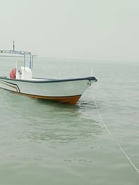 زورق اوشار جديد الطول 9ونص والعرض مترو 80 مكينة اوبتي مكس 250مار كلي ل...