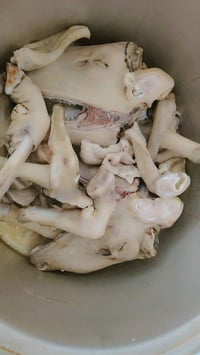 باجة طلي • راس وكراعين • شهربان حي العسكري