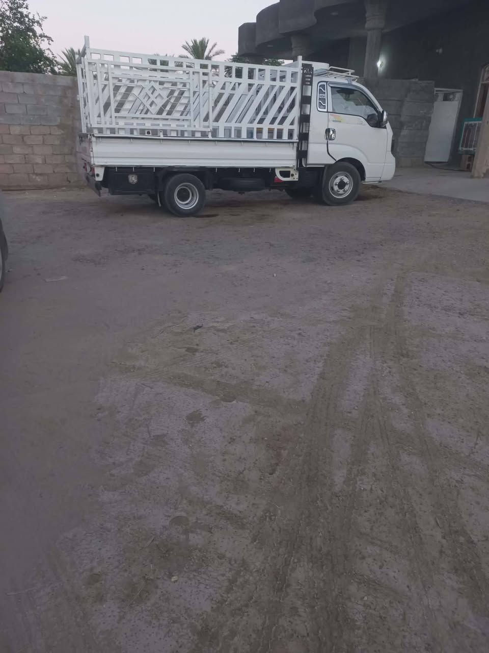 السلام عليكم كيه فحل للبيع مكفوله موديل 2018 السعر 145  #***********  ***********
