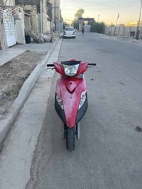 ماكس ثعلب • بلادية • ما مفتوحه