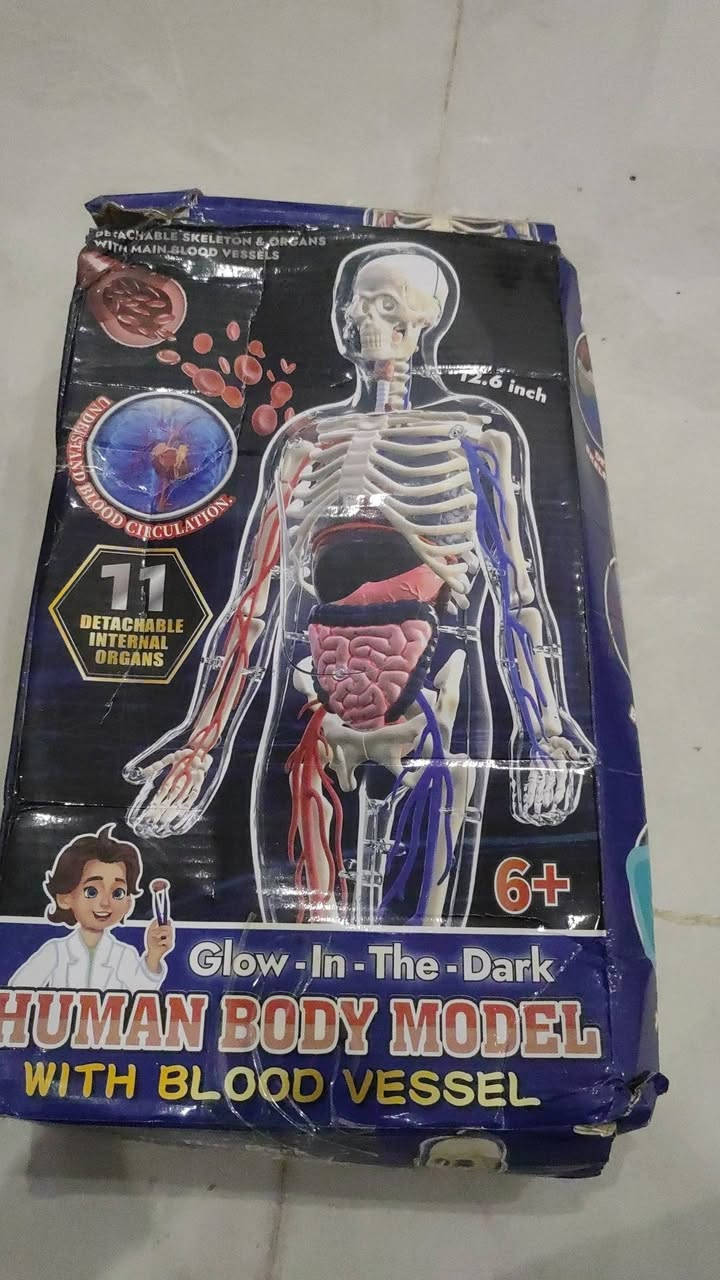 ١٠


**إذا كنت صاحب هذا الإعلان وتريد حذفه لأي سبب، رجاءا أرسل رسالة إلى الدعم الفني**