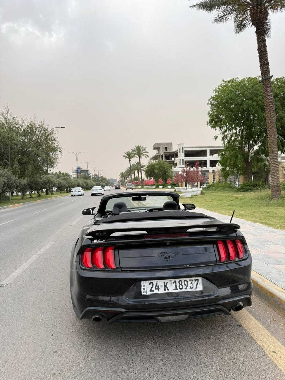 السلام عليكم موستنك ايكو بوست2019
محرك2300
حادثها 3 قطع 
جاملغ يمين امامي 
جاملغ يمين خلفي 
باب مبدل نفس اللون وكاله 
بنيد مصلح
سيارة خير من الله مابيها نقوص
ادامه جديده بلكات مجاول غرف احتراق نوزلات 
كلشي بيها ادامه جديده 
دهن جديد تطب تشغل وتطلع 
تبريد شغال فول 
منضومه كامله تبريد مي (راديتر وربعه) كله شغل ايدي اصلي وكاله 
سياره يرادلها برمجه فقط 
بيها طبه بالكير بسبب اذان الكير يرادلها تبديل تكتل روحها ب 75 
كتلك الالي والعلية 
السعر (140) وتعال ويفرق الحجي وترهم هم مراوس
للتواصل 
***********
بي واتساب هم
