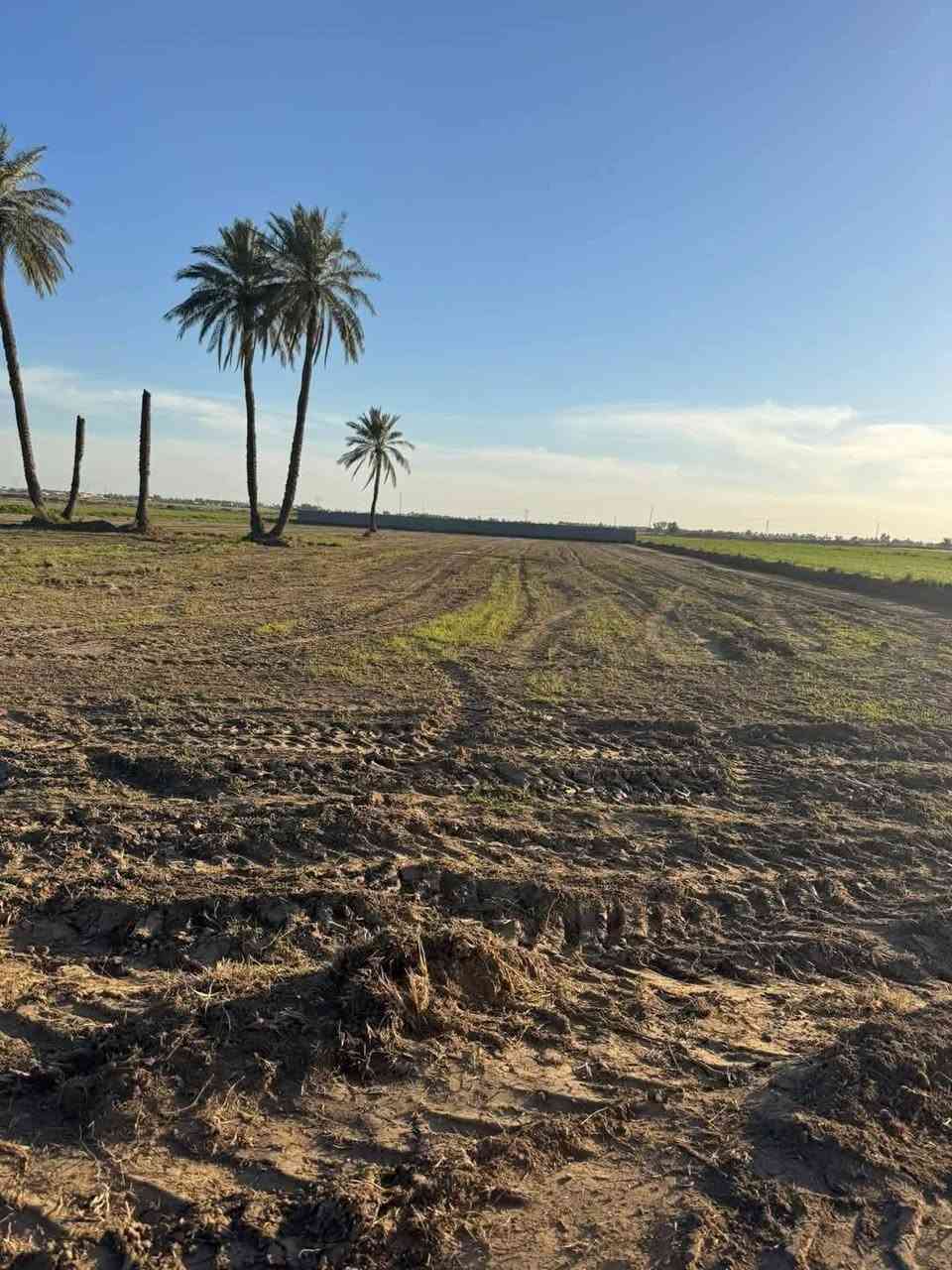 جايبلك انسب سعر وبمكانات استثماريه 💥✅
السعر( سعر الدونم الواحد ٨ مليون للدونم الواحد) 
الخدمات(ماء وكهرباء ومشروع اروائي وسكن قريب) 
نوع السند (طابو زراعي سند 25 حق التصرف) 
ضمان حقك(ما تدفع إلا بعد فتح البيان وضمان حقك) 
العنوان( بغداد التاجي ذراع دجله مدينة سبع البور) 
تخدم اصحاب الامكانيه القليله واصحاب الاستثمار وإلي يريد يبقيهه للمستقبل والمنطقة امينه وناسهه طيبه وتگدر تعيش رفاهيتك انته وعائلتك وتستثمر والعروض هايه الناس دتشتري منهه وفرصه متتعوض وقريبه على الحلقي طريق التنميه موقع كلش ممتاز وجاهز من جميع الخدمات للاستفسار واتساب متوفر بلرقم *********** 📞
