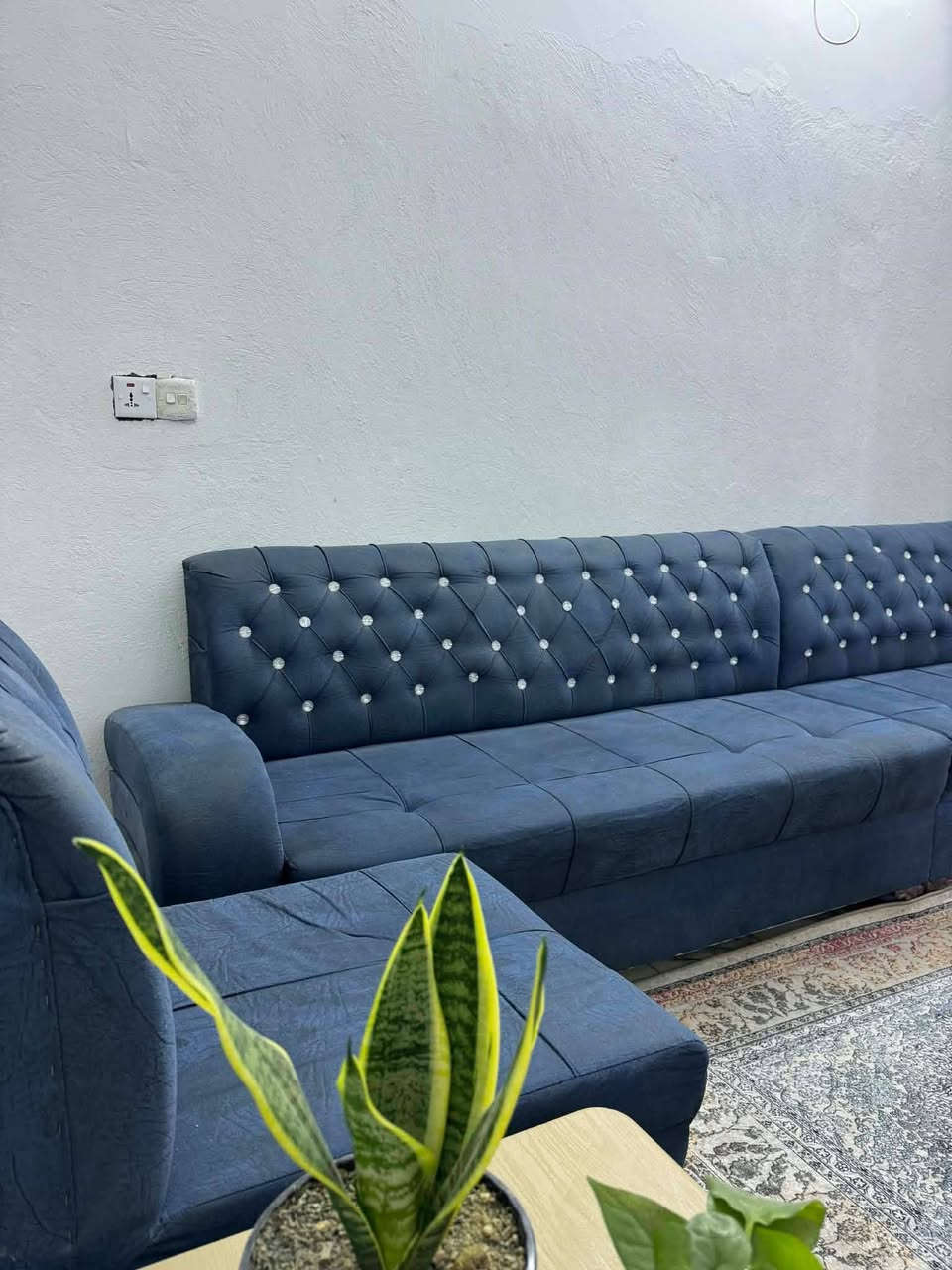 #للبيع تخم ديوان 8 متر تسگام كلش نضيف وثقيل السعر 270 العنوان حله حي الصحه


**إذا كنت صاحب هذا الإعلان وتريد حذفه لأي سبب، رجاءا أرسل رسالة إلى الدعم الفني**